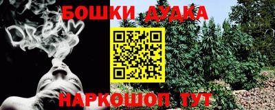 mdpv Лесосибирск