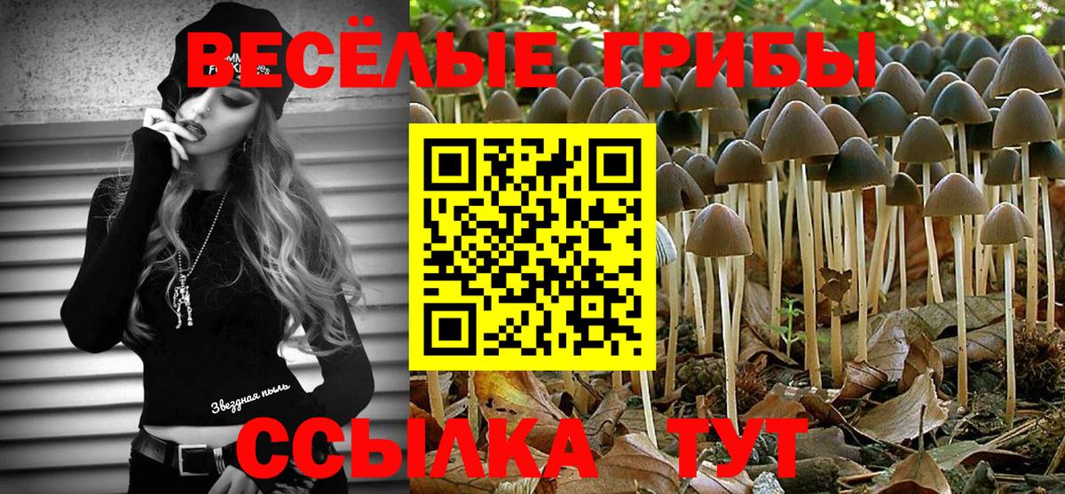 Псилоцибиновые грибы GOLDEN TEACHER  купить   Вход с VPN  Керчь  Галлюциногенные грибы прущие грибы 