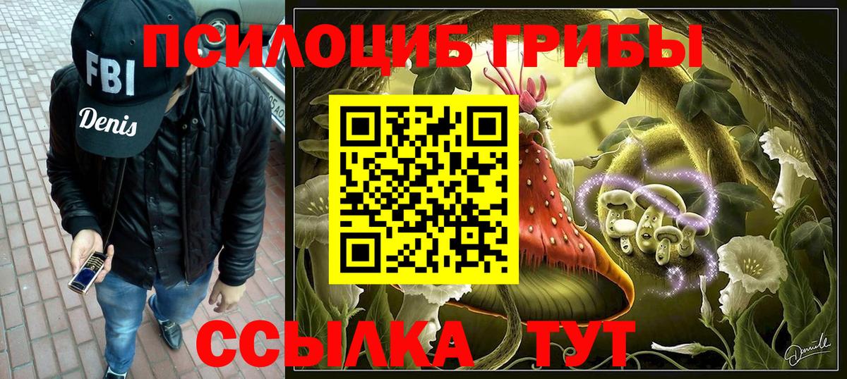 Псилоцибиновые грибы GOLDEN TEACHER Керчь